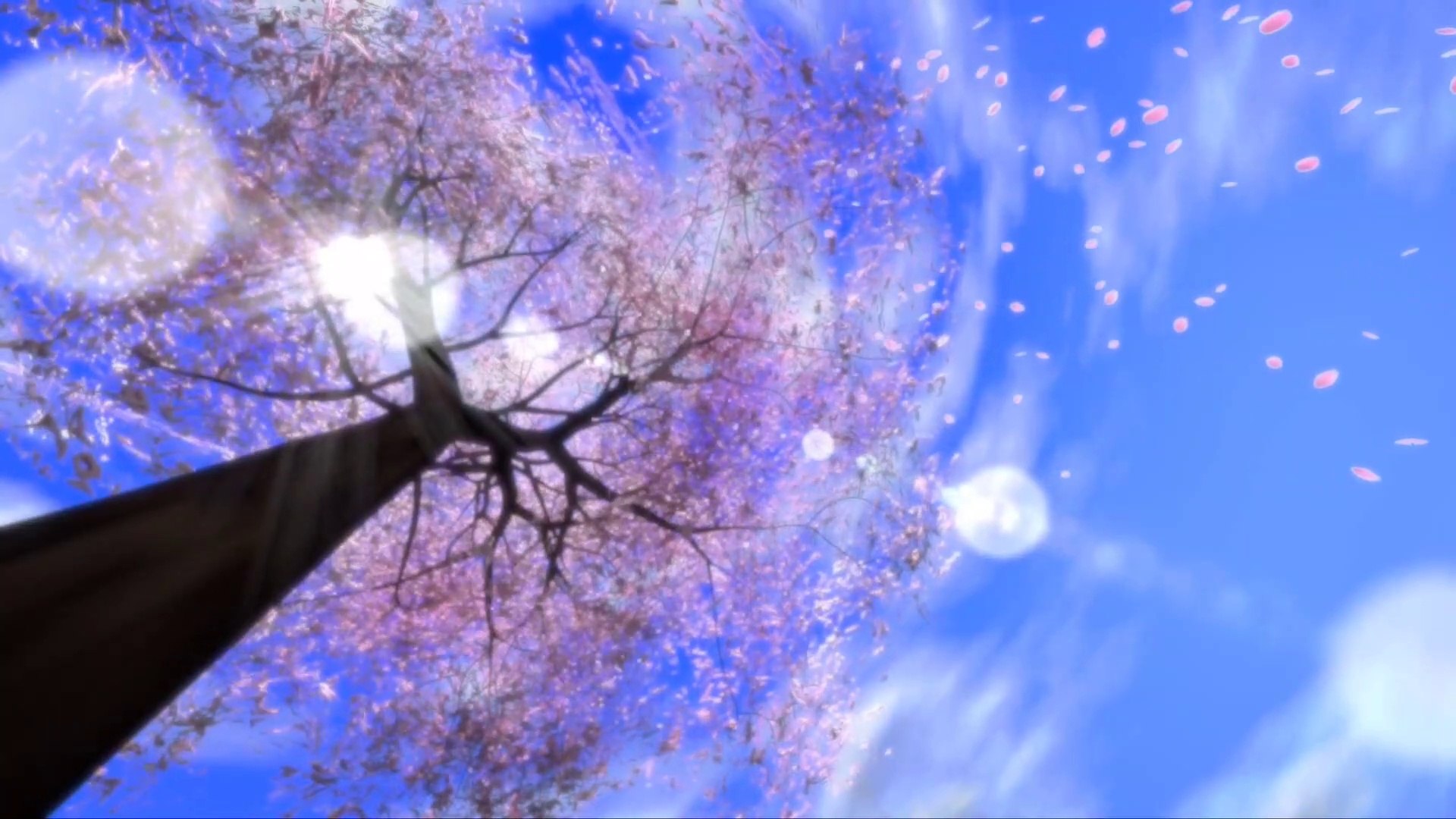 ⁣Soothing Piano Music|| Blossom Leaves Music || Piano Music