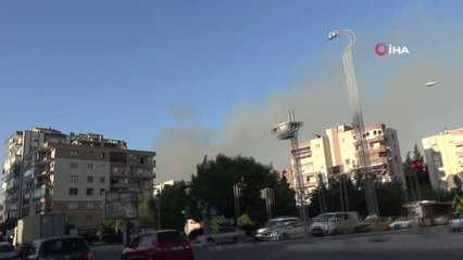 Son dakika haberi... İzmir'de ormanlık alanda çıkan yangın kontrol altında