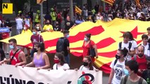 Crema de banderes a la manifestació de la CUP