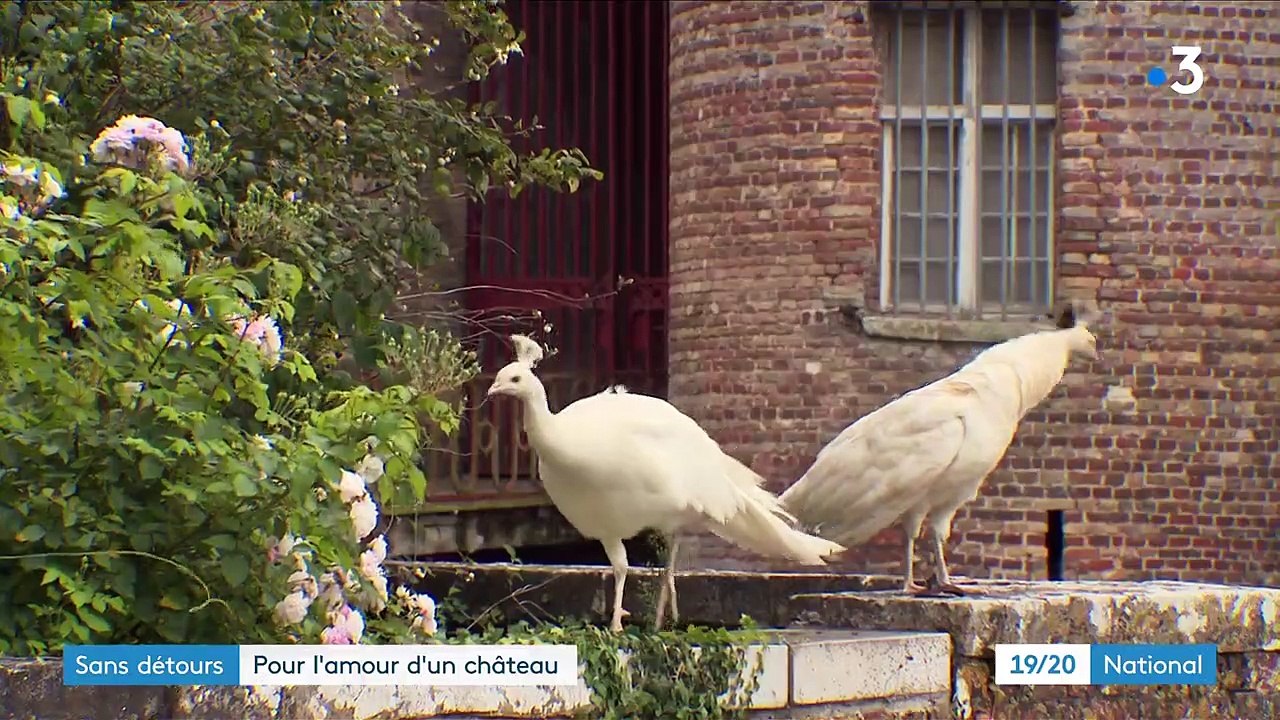 Patrimoine : à la découverte du château d'Esquelbecq