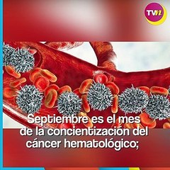 3 tipos de cáncer en la sangre que afectan de forma agresiva