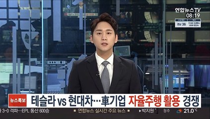 테슬라 vs 현대차…車기업 자율주행 활용 경쟁