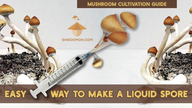How to make Liquid spore syringe in Zip Bag without glovebox | Mushroom growing