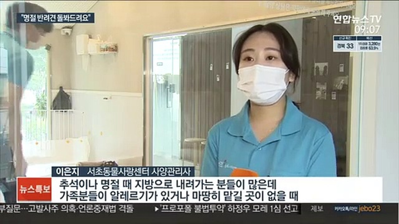 "명절 유기견 줄이자"…지자체 돌봄쉼터 마련
