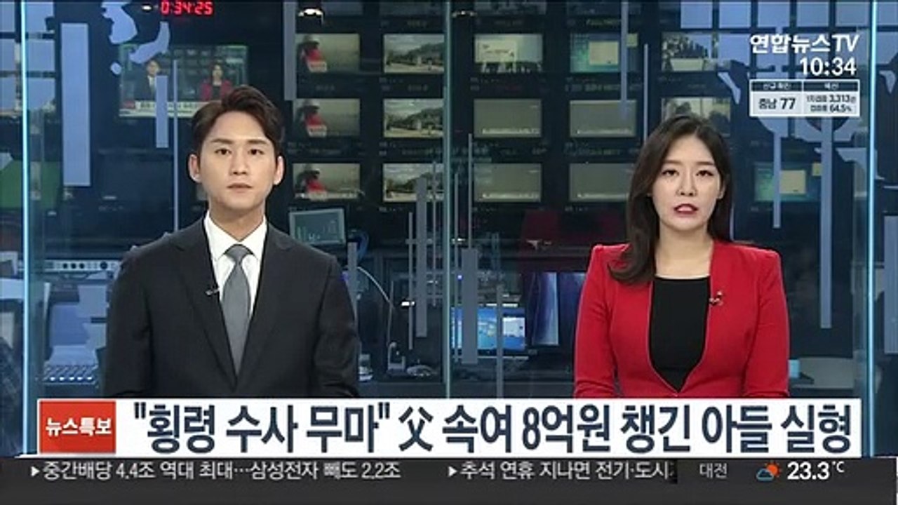 "횡령 수사 무마해주겠다" 父 속여 8억 원 챙긴 아들 실형