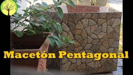 Como hacer un MACETERO GRANDE __  pentagonal para tus arboles.