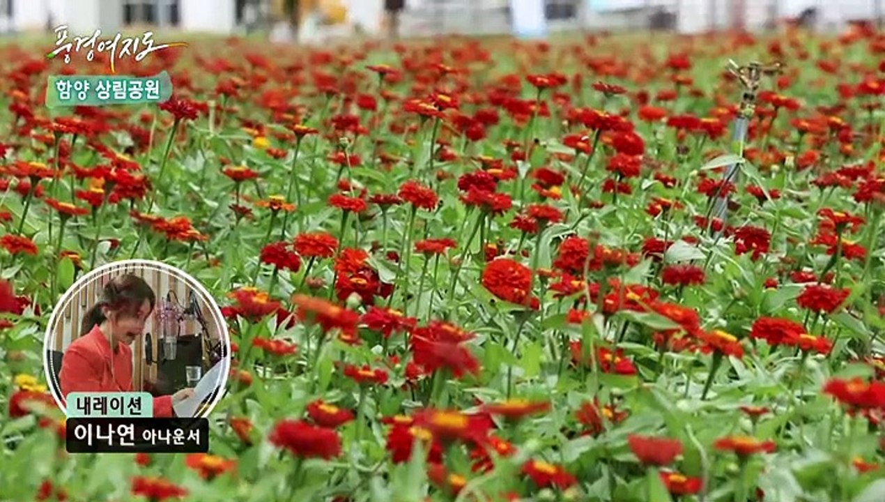 [풍경여지도] 청정 자연을 품은 산삼의 고장 - 경남 함양  2부