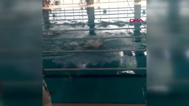 YAMAN RÜZGAR, YÜZMEDE REKOR ÜSTÜNE REKOR KIRDI