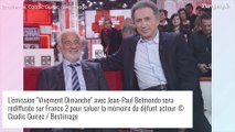 Jean-Paul Belmondo : Pour saluer sa mémoire, Michel Drucker fait revivre son Vivement Dimanche