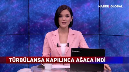 Türbülansa kapılınca ağaca indi! Havada korku dolu anlar