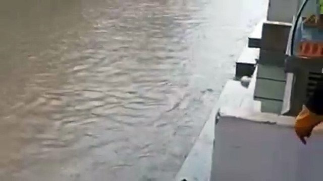 बीस एमएम बरसात और आई तो डूब जाएगी पुरानी आबादी