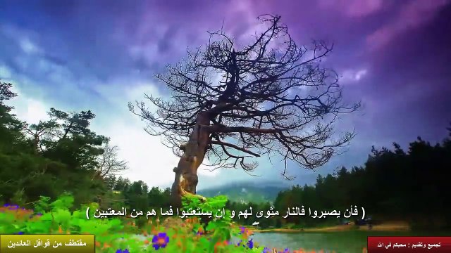 23. خالدر الراشد 2014 # يوم تشهد عليهم السنتهم وايديهم وارجلهم # مقطع رائع جدا لا يفوتك