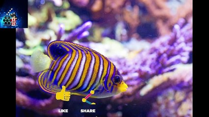 Kanyadan _ কন্যাদান _ Preview _ Episode 247 _10th September 2021 _Kanyadan Today Episode _ কন্যাদান আজকের পর্ব