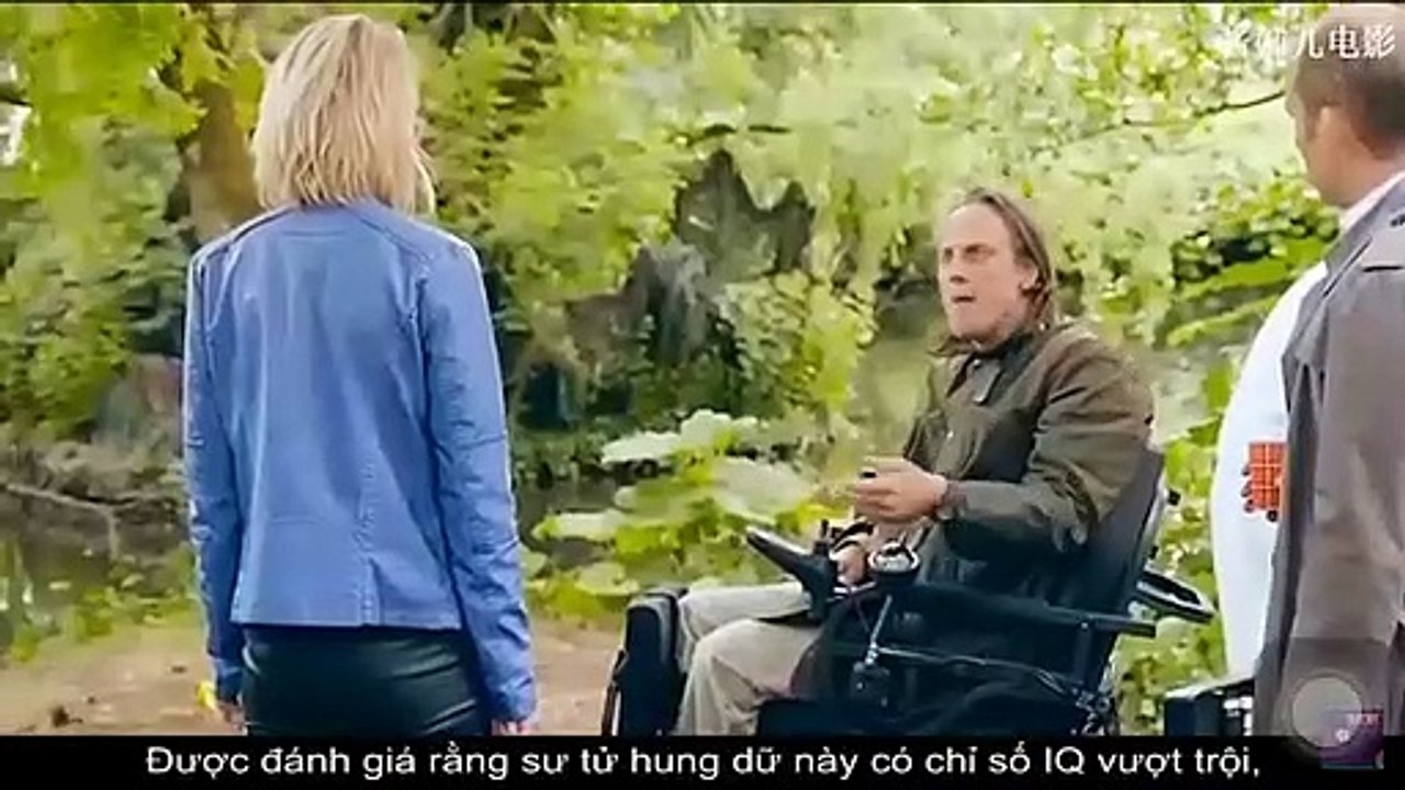 Sư tử IQ quá giữ