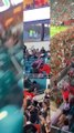 Les spectateurs d'un match de football sauvent un chat tombé de plusieurs mètres