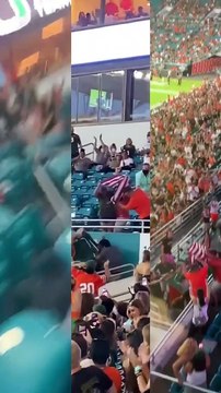 Les spectateurs d'un match de football sauvent un chat tombé de plusieurs mètres