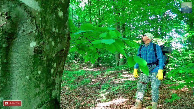 BUSHCRAFT AMONG OAK&BEECH TREES - SOLO,OVERNIGTH,BUSHCRAFT CAMPING - MAKING DOUBLE EDGED POCKET SAW - NIGTH AND SHAMANIC RITUEL
