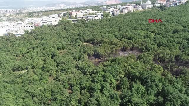 Bursa'daki orman yangını söndürüldü