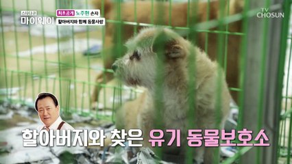 ✦최초공개✧ 손자와 함께하는 봉사활동♥ TV CHOSUN 20210912 방송