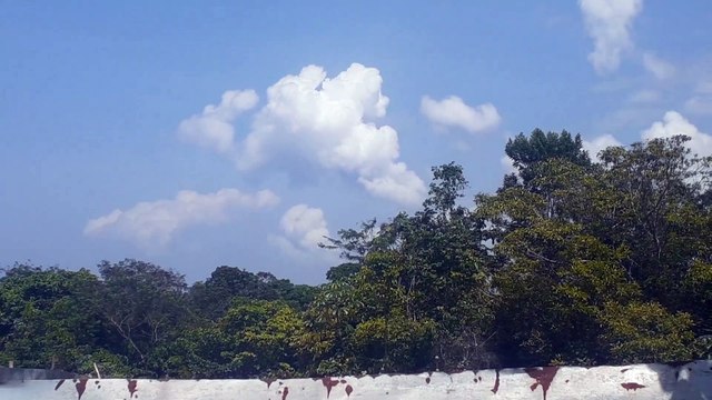 Embraer 195 PR-AUK vindo de Santarém e Airbus A330 PR-AIU vindo de Campinas