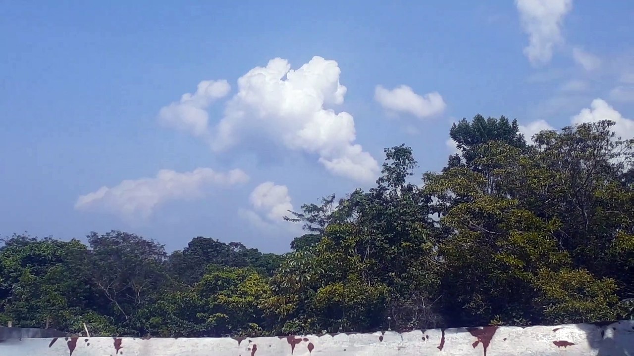 Embraer 195 PR-AUK vindo de Santarém e Airbus A330 PR-AIU vindo de Campinas