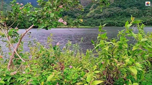 Beautiful Earth Dam@Kerala-Tamilnadu Boarder | കേരള -തമിഴ്‌നാട് അതിർത്തിയിലെ മനോഹരമായ ഡാം