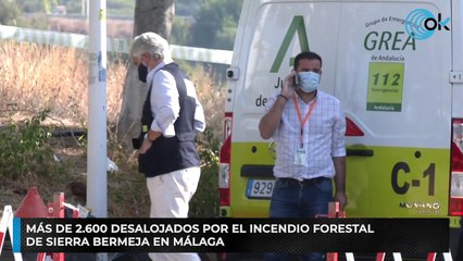 Más de 2.600 desalojados por el incendio forestal de Sierra Bermeja en Málaga