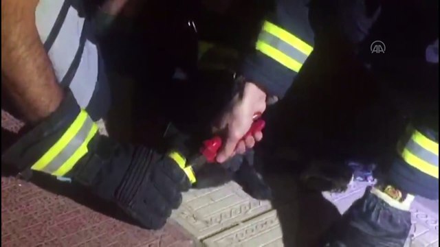 Kafası konserve kutusuna sıkışan kediyi itfaiye ekipleri kurtardı