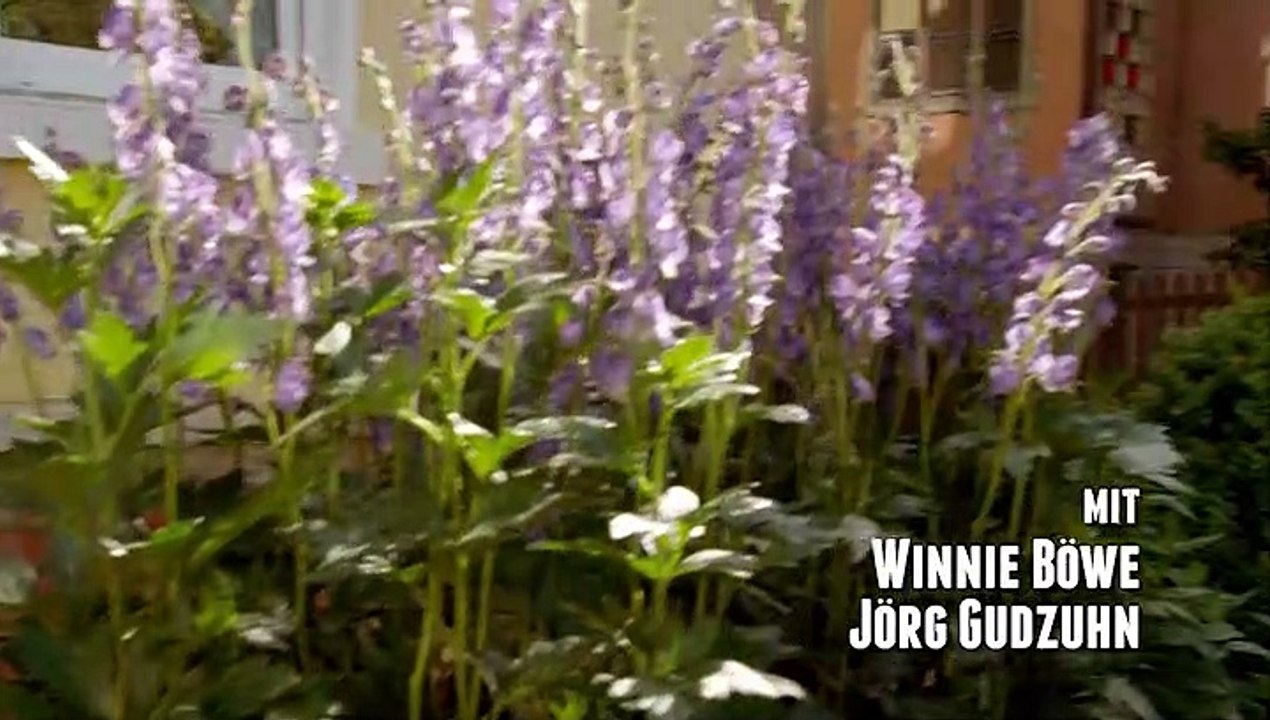 Alles Klara (24) - Der perfekte Mord - Staffel 2 Folge 8