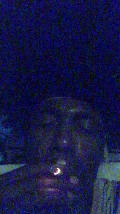 IMG_2044 / Royal Proposal/ Message to the Queen of England/ p1