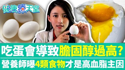 20210908《健康療天室》第22集 吃蛋會導致膽固醇過高? 營養師曝4類食物才是高血脂主因
