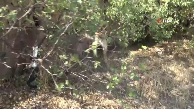 Son dakika haberleri: Polis ekiplerinden okul bölgelerinde 'narko-okul' uygulaması