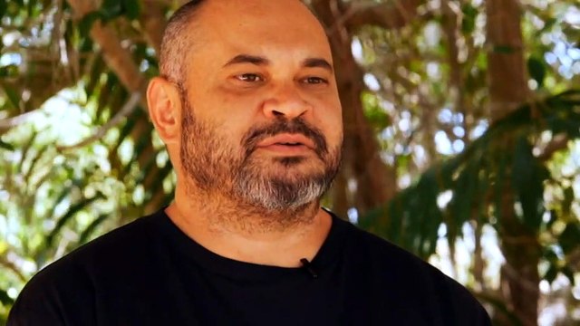 High tech solutions to help catch herds of feral buffalo