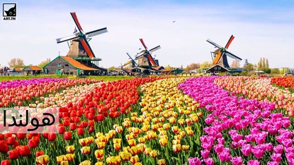 أسعد 5 بلدان في العالم