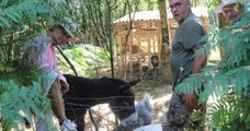 En Vendée, un collectif se mobilise pour sauver des animaux abandonnés dans une ferme
