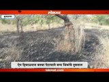 बुलडाण्यात वणवा पेटल्याने वन्यजीव धोक्यात