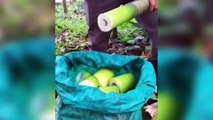 Fastest Workers 2020   Fruit Cutting Skills Level 99 - Part 5