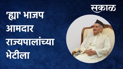 Mumbai: 'ह्या' भाजप आमदार राज्यपालांच्या भेटीला