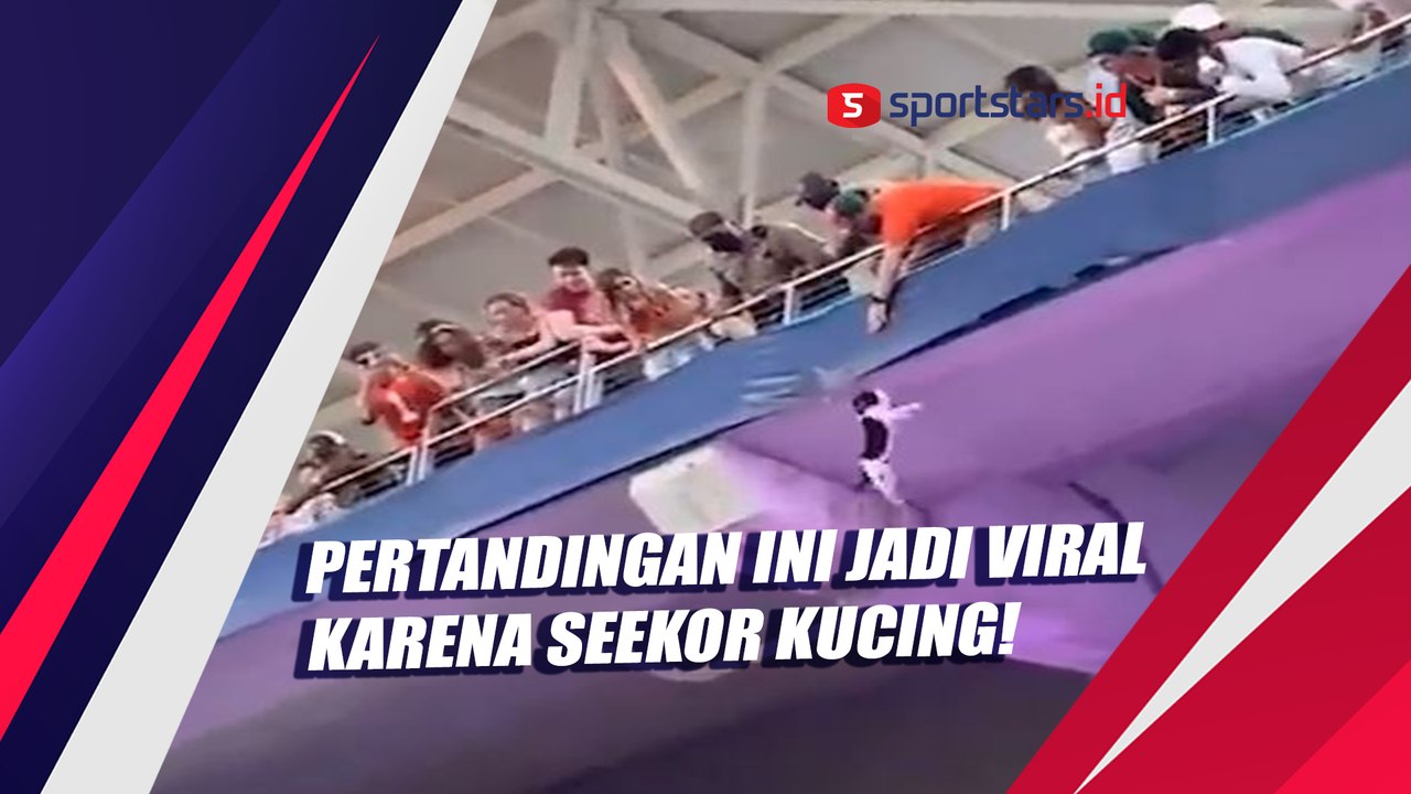 Pertandingan Ini Jadi Viral Karena Seekor Kucing!