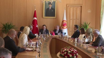 Download Video: TBMM Başkanı Şentop, Sırbistan Ulusal Meclis Başkanı Ivica Daçiç ile bir araya geldi (2)