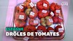 Ce concours élit la tomate la plus moche d'Espagne