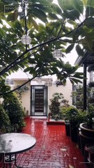 Thank God For The Rain 