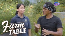 Farm To Table: Practical farming tips from Chef JR Royol