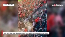Usa, gatto cade dagli spalti dello stadio: l’incredibile salvataggio al volo dei tifosi