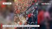 Usa, gatto cade dagli spalti dello stadio: l’incredibile salvataggio al volo dei tifosi