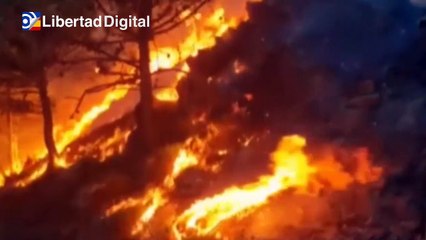 900 efectivos trabajan en el devastador fuego de Sierra Bermeja que sigue avanzando sin control