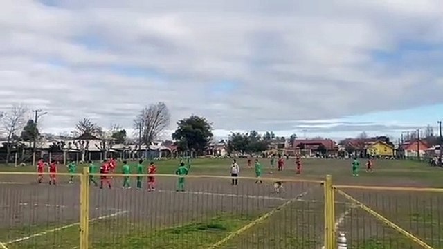 Un chien marque un but dingue en plein match