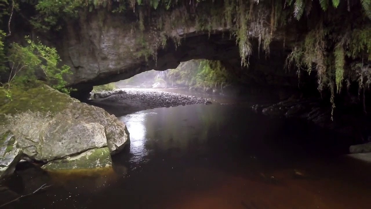 RAIN FOREST VIDEO BACKGROUND - 4K, HOH RAIN FOREST - NATURE RELAXATION VIDEO (1)