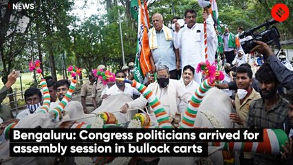 Bengaluru: Congress politicians arrived for assembly session in bullock carts