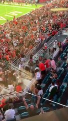 Un chat suspendu au Hard Rock Stadium rattrapé par des supporters (Miami)